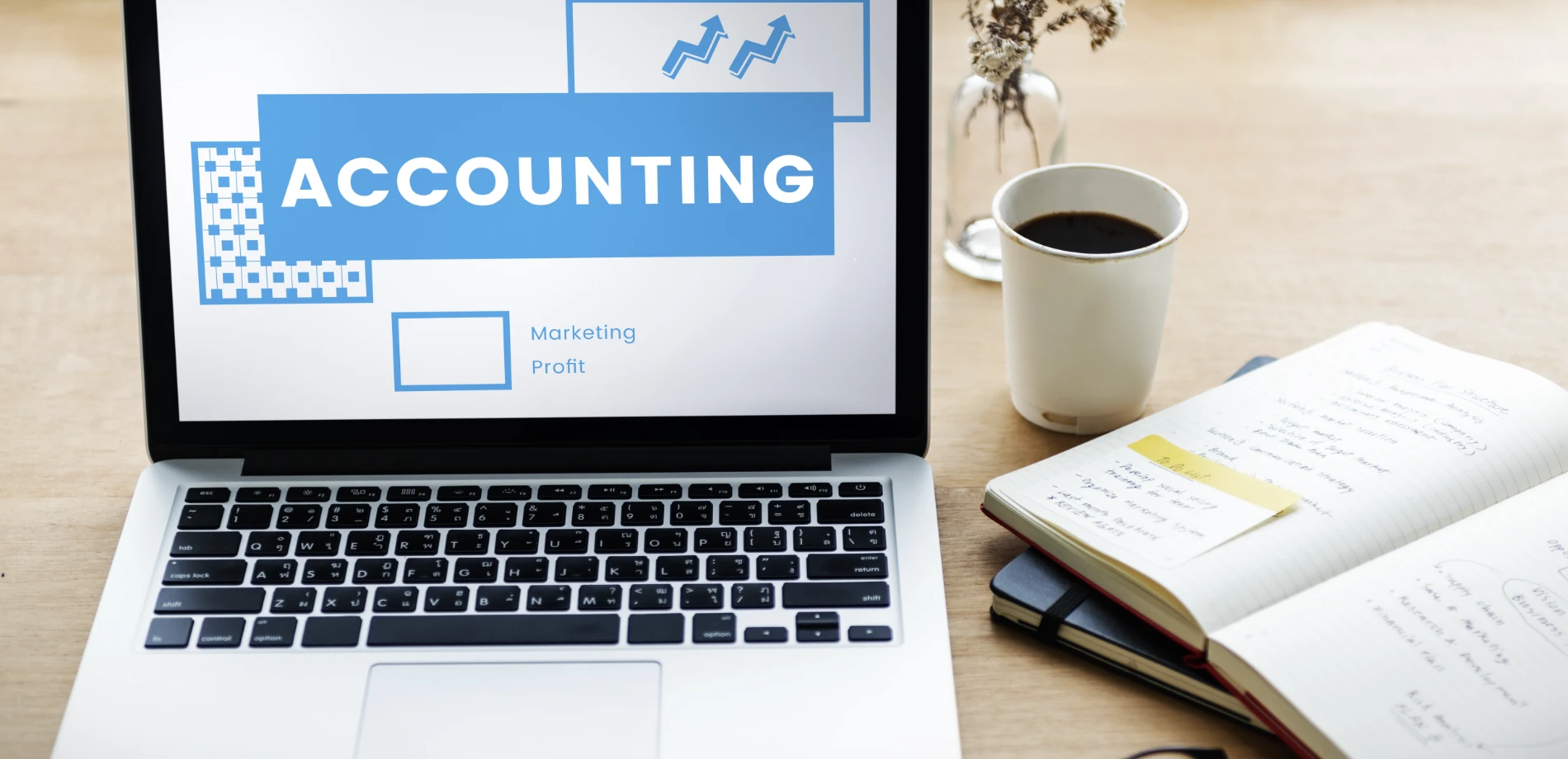 Muhasebe Programı Nedir? Kaç Çeşit Muhasebe Programı Var?